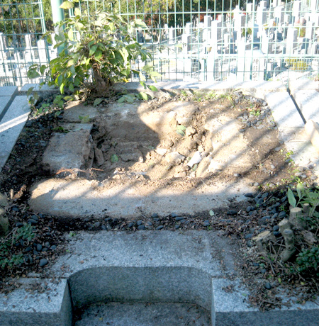 高槻市営墓地 ツゲの木の撤去・巻石の修理