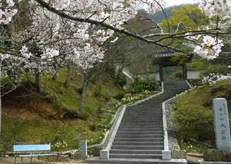 大円寺（臨済宗）