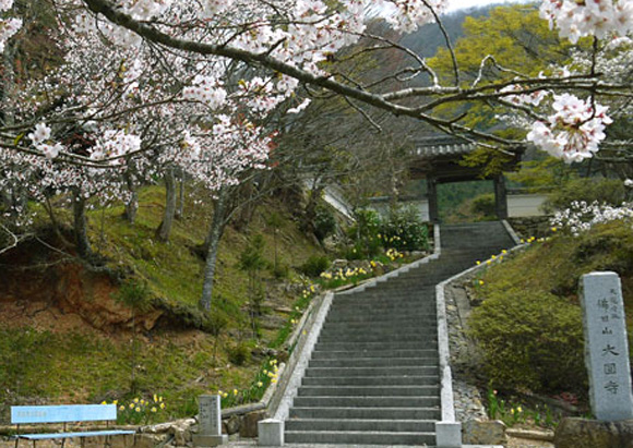 大円寺（臨済宗）